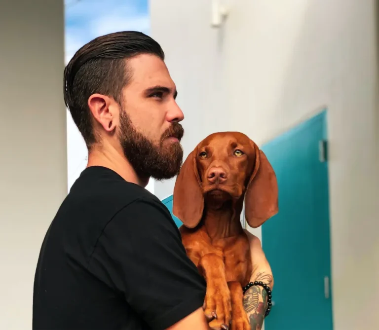 Traveling with pets, pet travel tips, road trip with pets, flying with dogs or cats, pet travel checklist