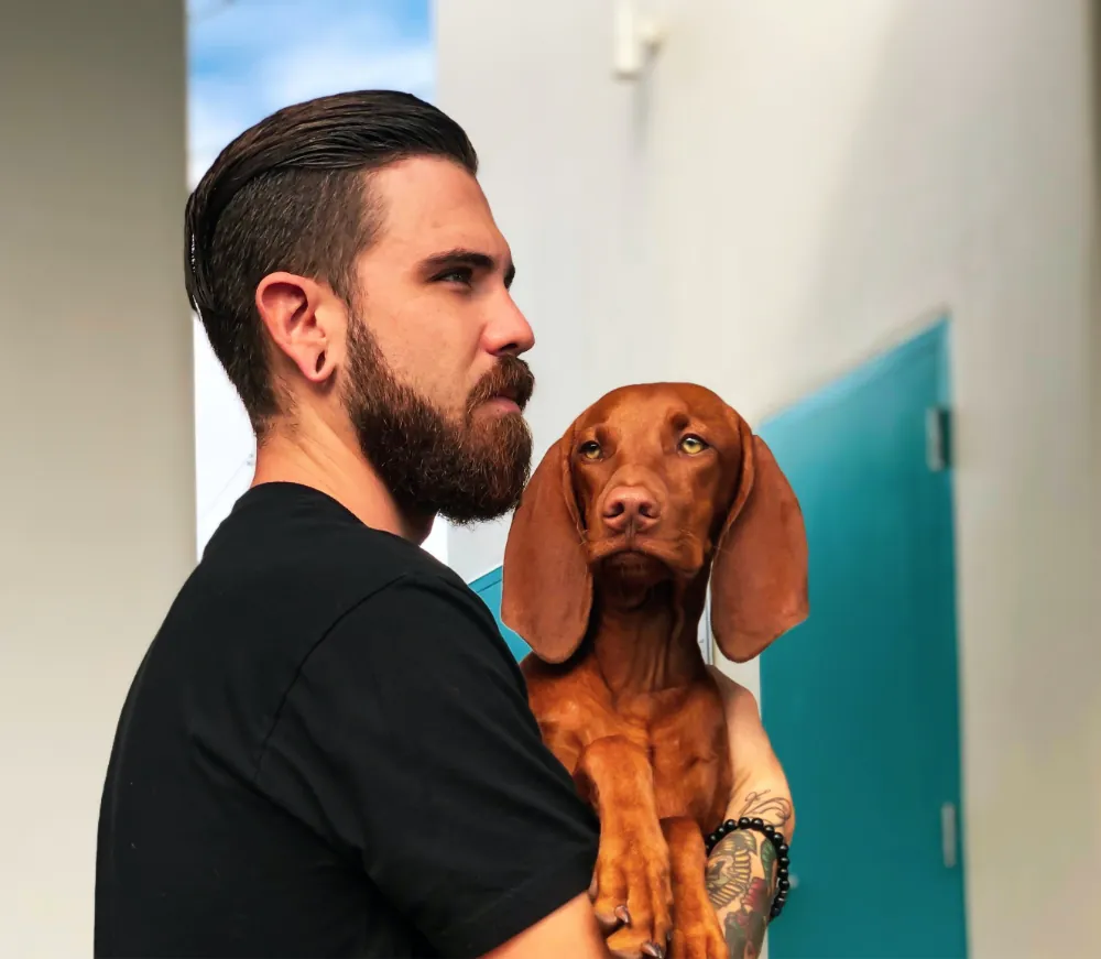 Traveling with pets, pet travel tips, road trip with pets, flying with dogs or cats, pet travel checklist