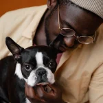 Understanding Your Cat's Behavior: What Every Owner Needs to Know