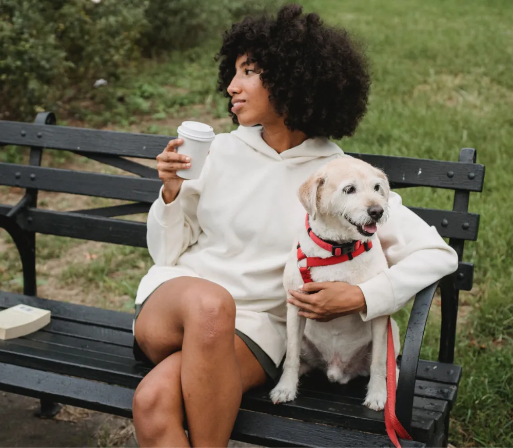 Dog training tips, dog obedience training, puppy training, dog training guide, positive reinforcement for dogs